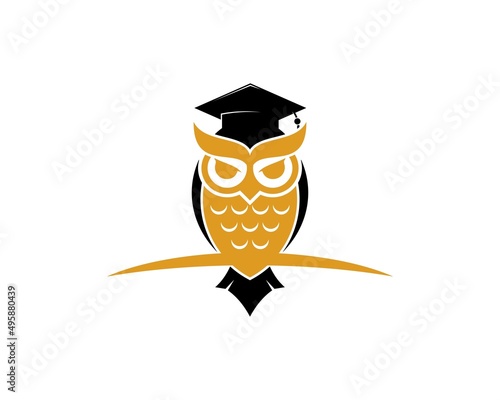 Smart owl in the twig with graduation hat