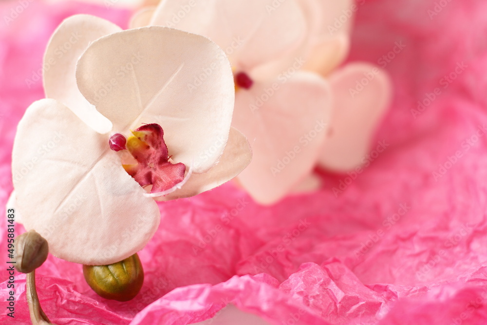Orchid flower on pink wrinkled paper background, copy space