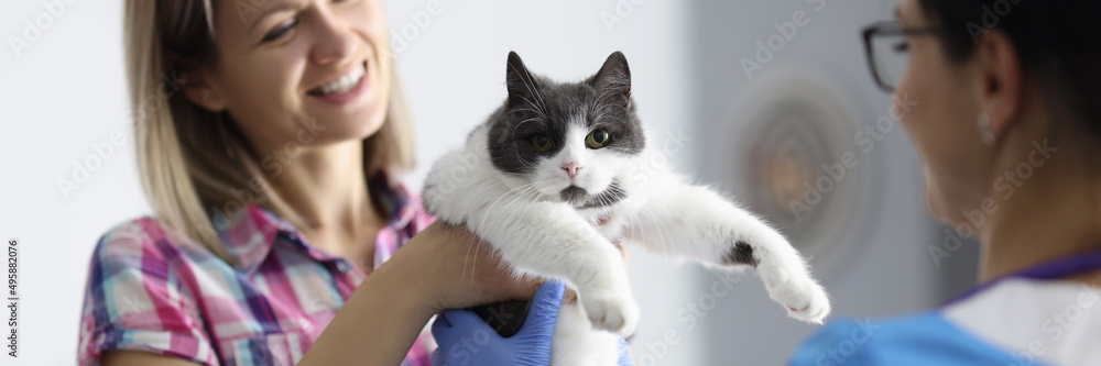 Woman and home cat at veterinary clinic Woman and home cat at veterinary clinic