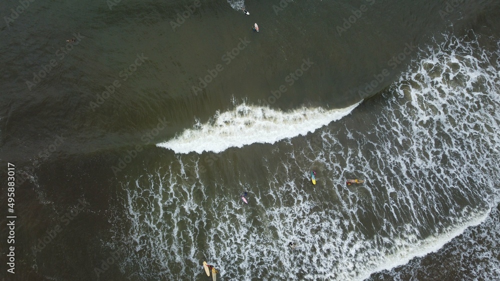 surfing surfing