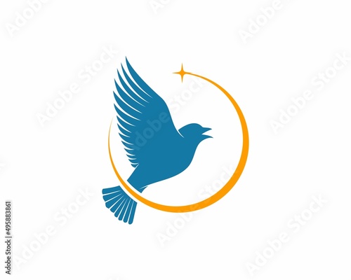 Flying dove with rising star on top