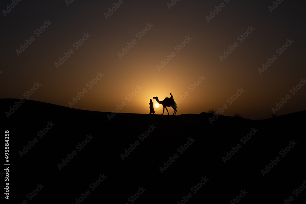 silhouette of a person and camel on a sunset silhouette of a person and camel on a sunset