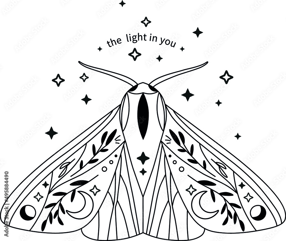 Obraz premium Celestial moth
