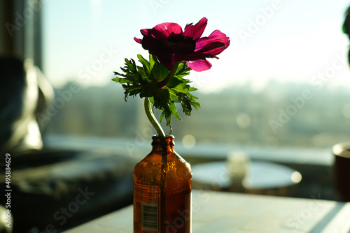 A single flower in a bottle on a table with a sunsent background, landscape shot.