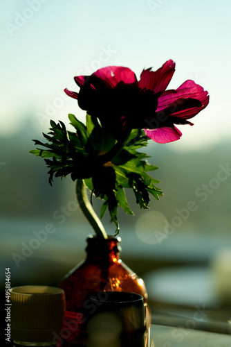 A single flower in a bottle on a table with a sunsent background, vertical zoomed in shot.