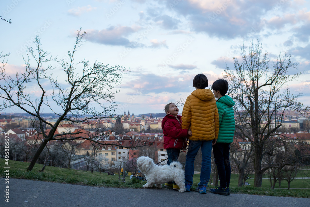Happy children, siblings, boys, visiting Prague springtime in the evening, walking in park with pet dog Happy children, siblings, boys, visiting Prague springtime in the evening, walking in park with pet dog