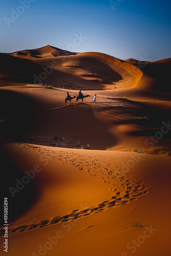 sunset in the desert