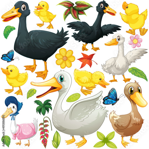 Many ducks and ducklings in black and white