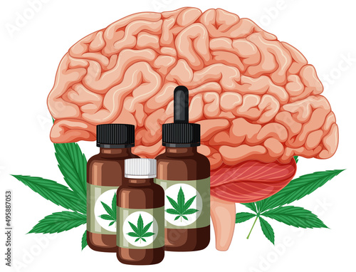 Cannabis medicine and human brain