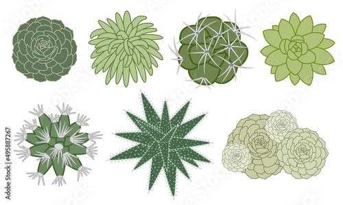 Ensemble d’illustrations vectorielles détourées de diverses plantes grasses et de cactus vue du dessus. photo