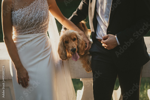Bride and groom posing with dog at wedding.