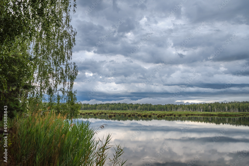 Fototapeta premium Lake in the forest before the thunderstorm