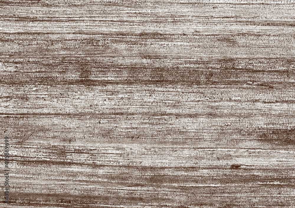 Obraz premium 樹皮アート