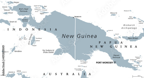 Fototapeta Naklejka Na Ścianę i Meble -  New Guinea gray political map. Second largest island in the world located in the South Pacific Ocean. The eastern half is the major landmass of Papua New Guinea. The western half is part of Indonesia.