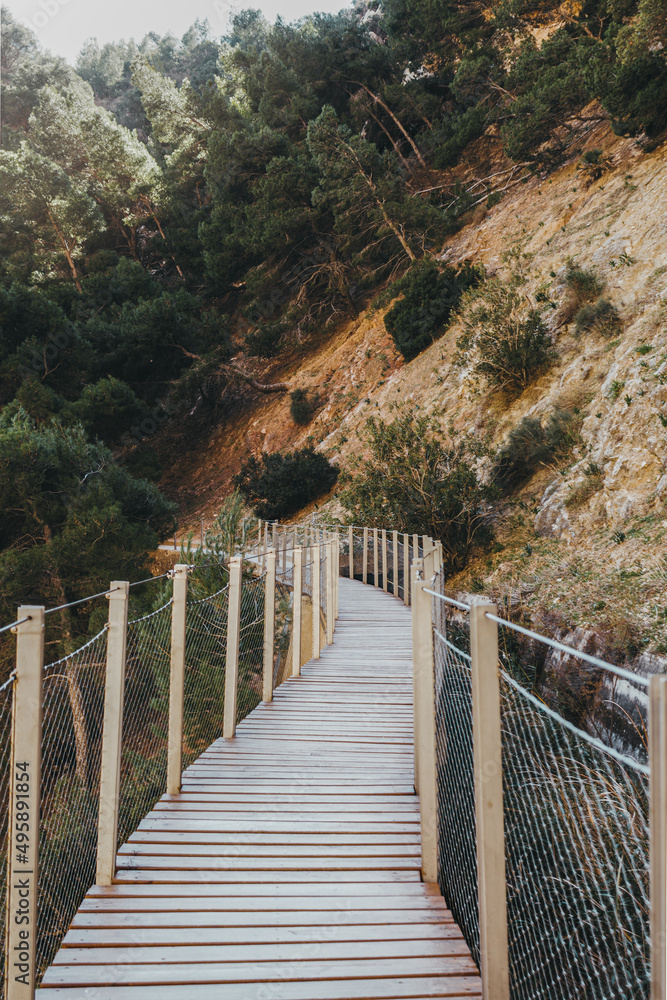 Wooden walking path in nature