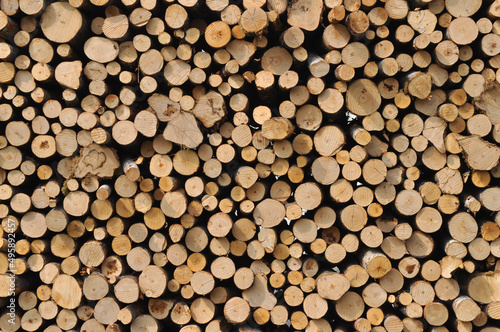 heap of wooden logs background