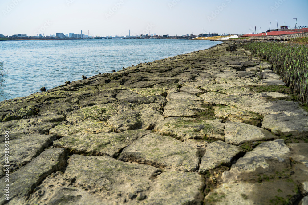 Fototapeta premium 多摩川沿い「ソラムナード羽田緑地」周辺の風景【東京都・大田区】