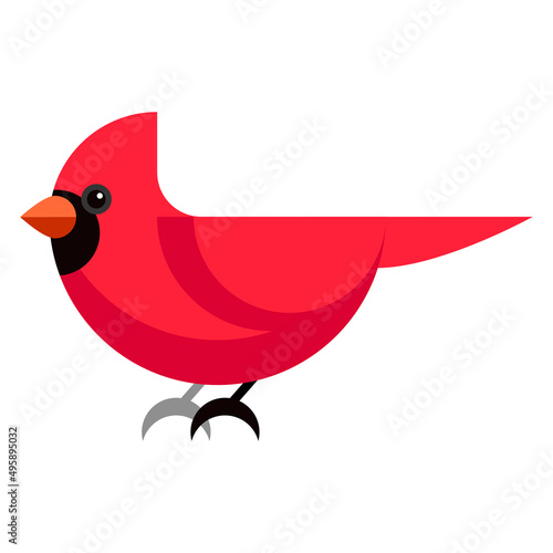 Cardinal bird cartoon style. Vector illustration on a white background