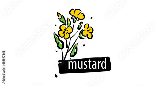 Drawn Mustard isolated on a white background