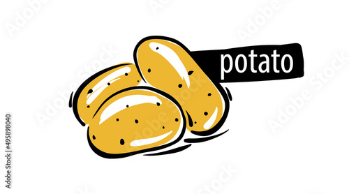 Drawn potato isolated on a white background photo