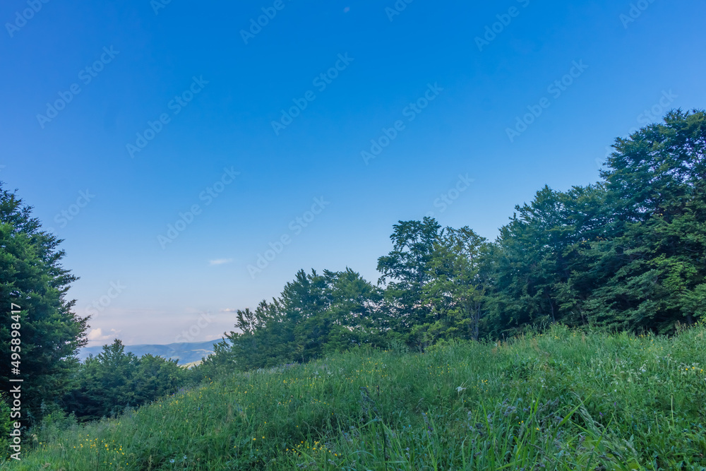 Fototapeta premium skyline in the mountains in summer..