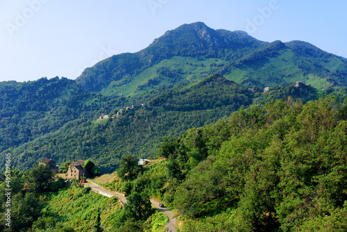 Mountain road in Costa verde Forest. Corsica island