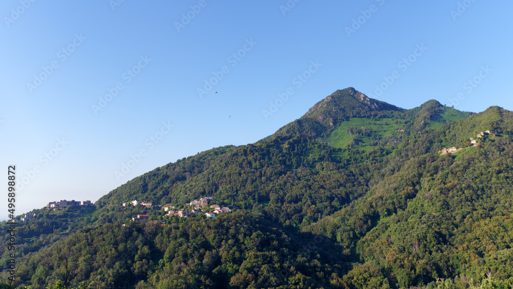 Costa verde mountain in corsica island