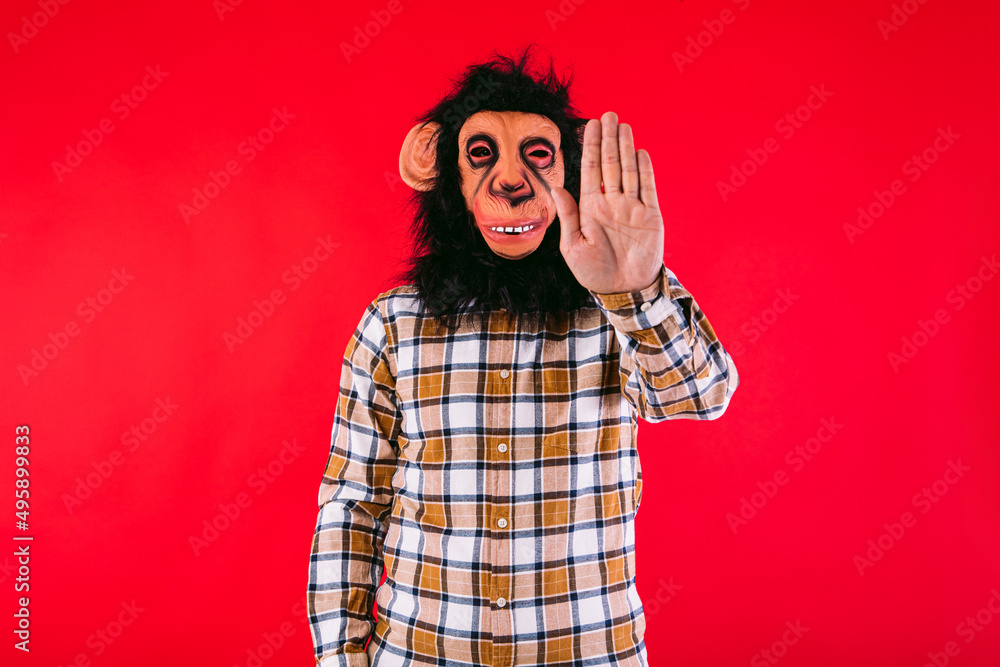 Man with chimpanzee monkey mask and checkered shirt, making the stop sign with his hand, on red background. Man with chimpanzee monkey mask and checkered shirt, making the stop sign with his hand, on red background.
