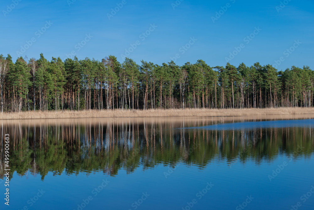 Obraz premium Jezioro w słoneczny, bezchmurny dzień.
