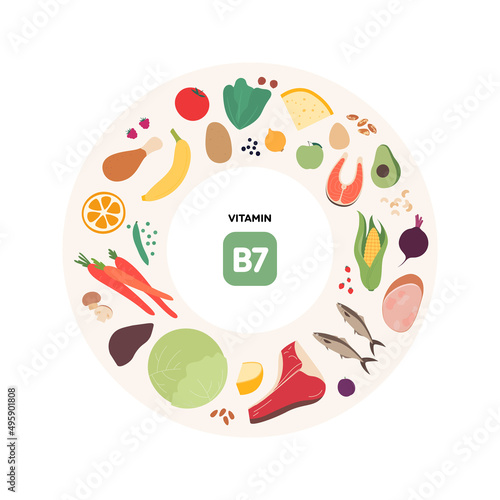 Healthy food guide concept. Vector flat illustration. Infographic of b7 vitamin sources. Colorful meat, fruit, vegetables and grains icon set.