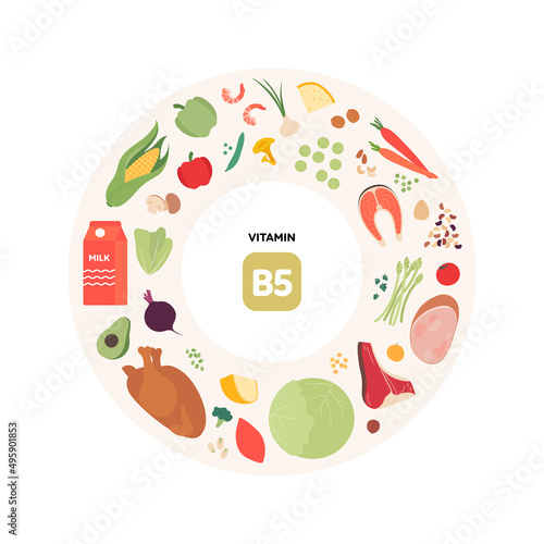 Healthy food guide concept. Vector flat illustration. Infographic of b5 vitamin sources. Colorful meat, poultry, seafood, mushroom, fruit, vegetables, dairy products and beans icon set.