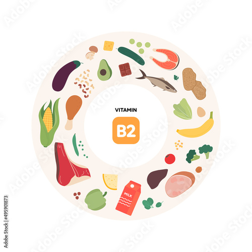 Healthy food guide concept. Vector flat illustration. Infographic of b2 vitamin sources. Colorful meat, poultry, seafood, mushroom, fruit, vegetables, dairy products and nuts icon set.