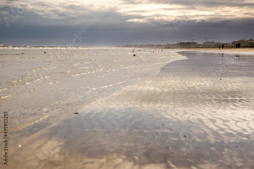 winter landscape on the beach. Cloudy dramatic sky. Birds on the beach. loneliness.