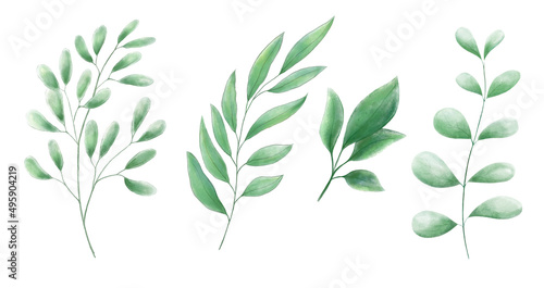 A set of watercolor leaves and branches. Lovely design elements to make your own patterns  laurels and compositions. Great for wedding or invitations.