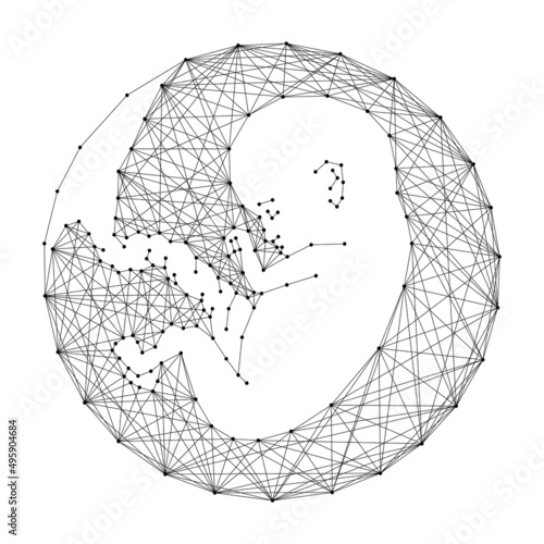 Embryo, human fetus in womb, from abstract futuristic polygonal black lines and dots. Vector illustration.