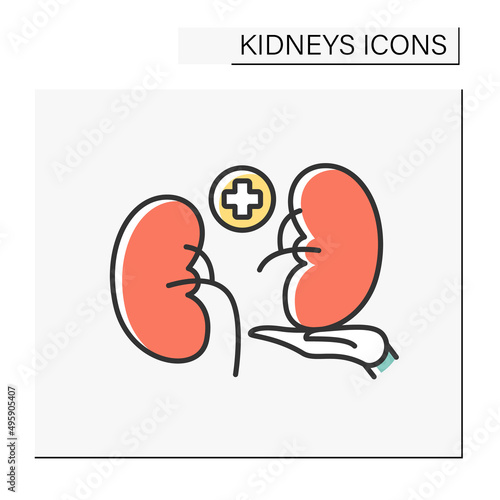 Transplantation color icon. Kidney donation.Transplanting healthy internal organ from one person to another. Treatment and surgery.Healthcare concept.Isolated vector illustration