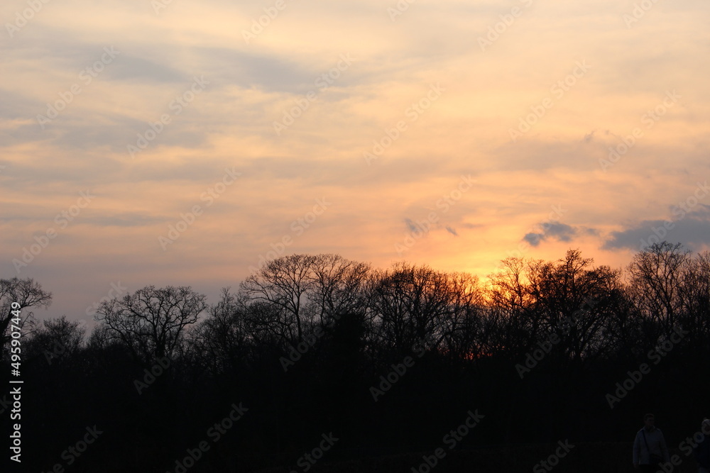 Gorgeous winter sunset over bare deciduous trees. Warm, glowing, pastel orange and pink sunset at Schonbrunn Palace Woods (Vienna, Austria) Gorgeous winter sunset over bare deciduous trees. Warm, glowing, pastel orange and pink sunset at Schonbrunn Palace Woods (Vienna, Austria)