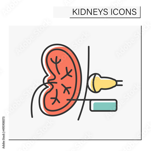 Biopsy color icon. Medical test. Kidney examination to check healthy or to diagnose an illness. Healthcare concept.Isolated vector illustration
