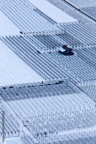 The Marzemino vineyards in a snowy winter. Volano, Vallagarina, Trento province, Trentino Alto-Adige, Italy, Europe.  photo