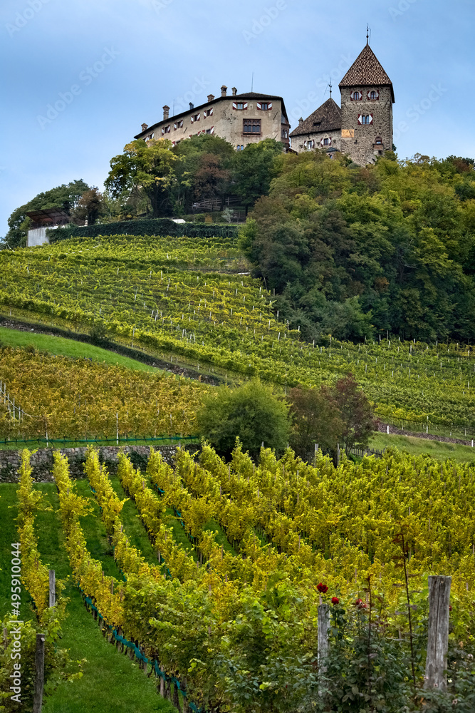 The vineyards of the village of Prissian/Prissiano overlooked by the medieval Wehrburg castle. Tisens/Tesimo, Bolzano province, Trentino Alto-Adige, Italy, Europe.