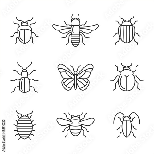 Insect Icons Set. Butterfly, Bug and Bee. Vector