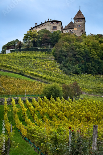 The vineyards of the village of Prissian/Prissiano overlooked by the medieval Wehrburg castle. Tisens/Tesimo, Bolzano province, Trentino Alto-Adige, Italy, Europe.