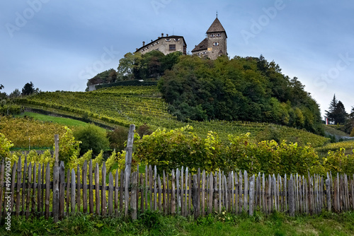 The vineyards of the village of Prissian/Prissiano overlooked by the medieval Wehrburg castle. Tisens/Tesimo, Bolzano province, Trentino Alto-Adige, Italy, Europe.