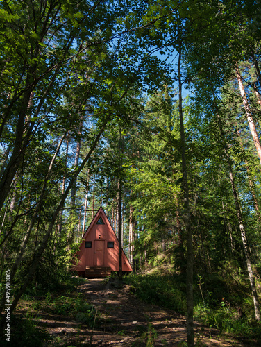 forest house for rest in the summer forest. glamping in the forest