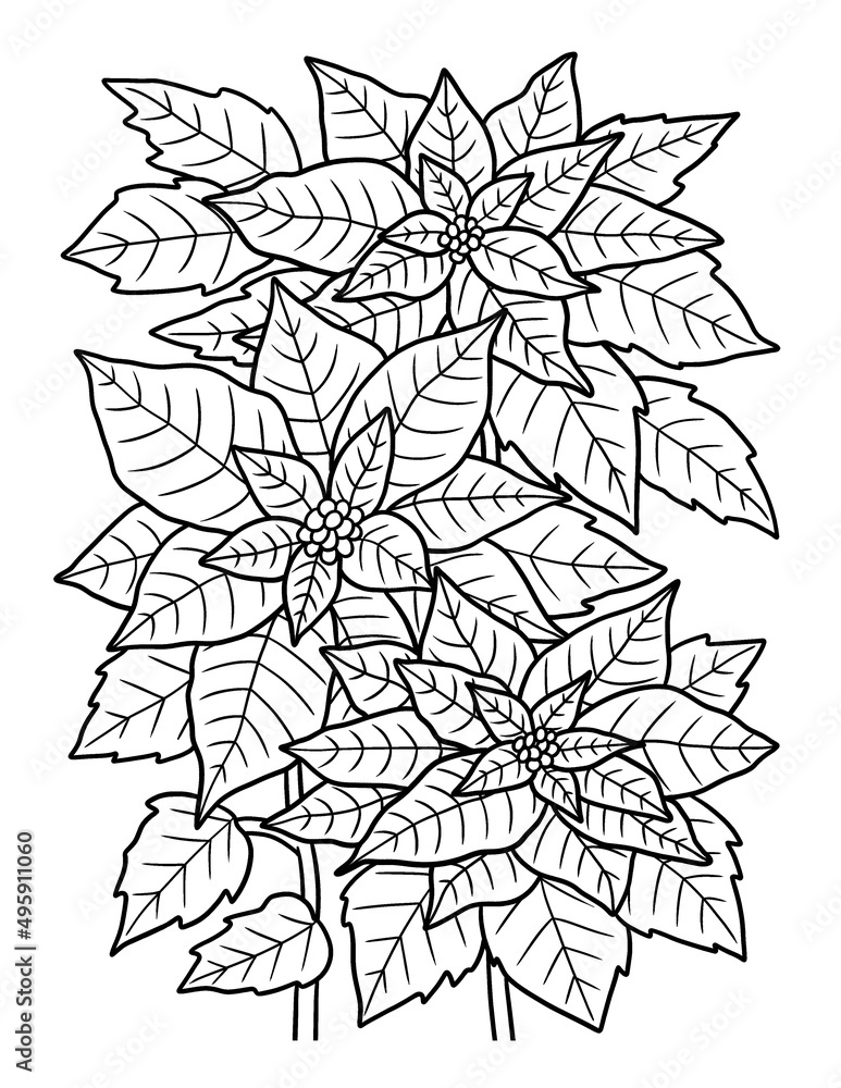 Poinsettia Flower Coloring Page for Adults Stock Vector | Adobe Stock