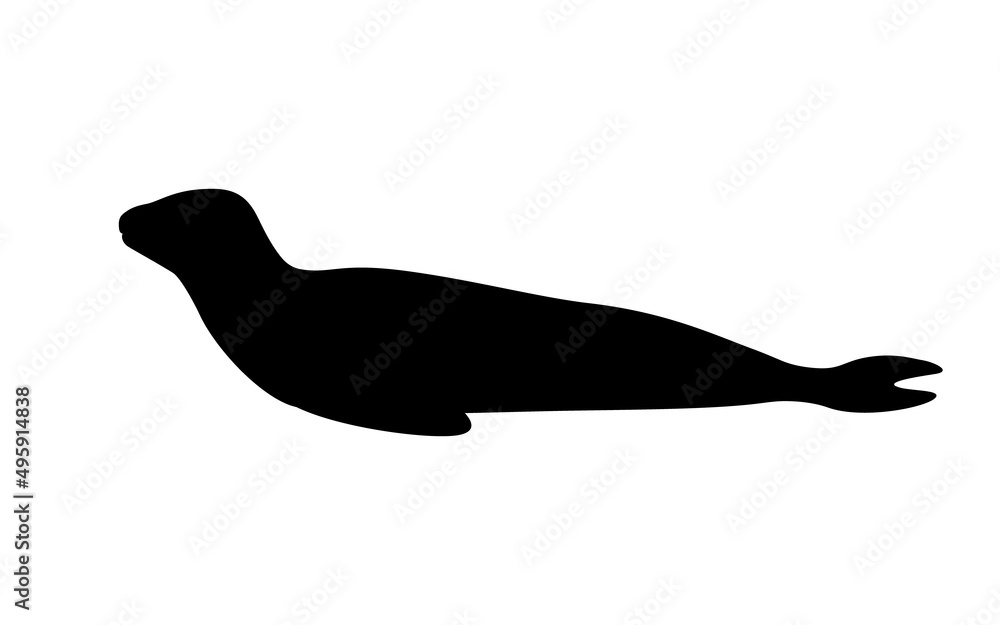 Silhouette leopard seal Silhouette leopard seal