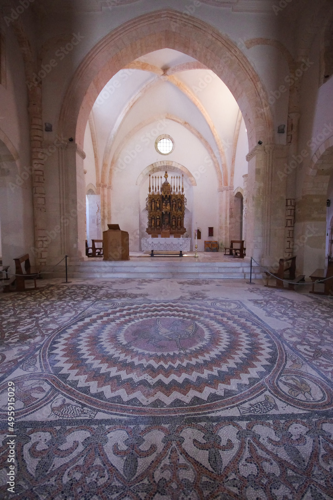 Tremiti Islands - Puglia - Island of San Nicola - Interior of the Church of Santa Maria a Mare - The precious mosaic floor