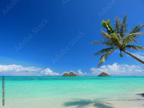 ハワイ、オアフ島、ラニカイビーチから見るモクルアと椰子の木