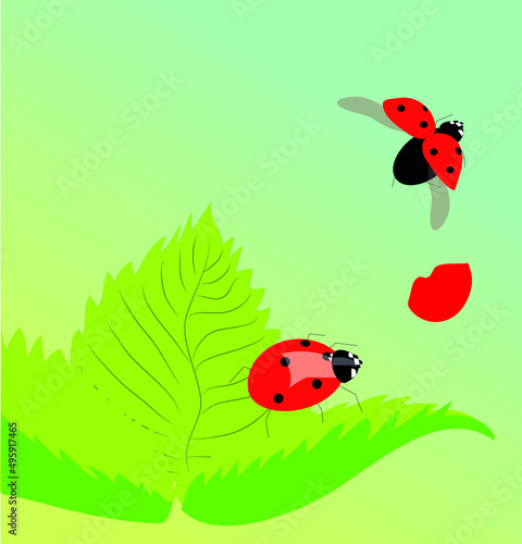 Vector illustration representing two ladybugs flying quietely by a spring sunny day