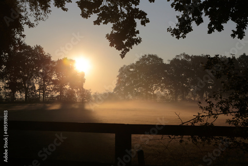 Landschaft in Norddeutschland im Herbst mit Nebel